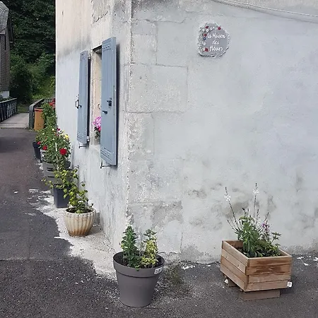 La Maison Des Fleurs Studio Le Mont-Dore Exterior photo