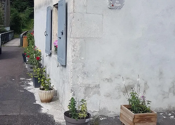 La Maison Des Fleurs Studio